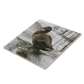 Graue Ente im Dunkeln des Sees Fliese (Seite)