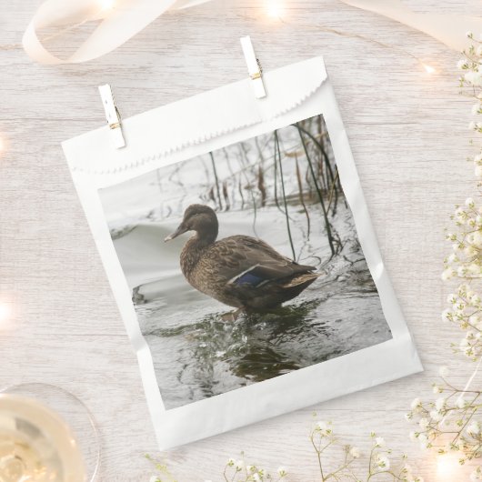 Graue Ente im Dunkeln des Sees Geschenktütchen (Ausgeschnitten)