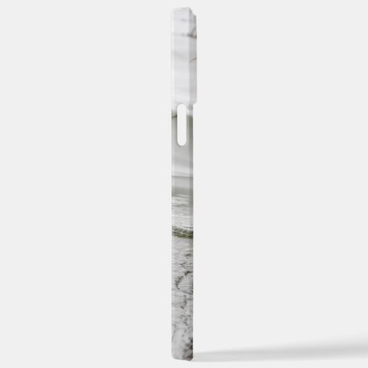 Graue Ente im Dunkeln des Sees iPhone Hülle (Rechte Seite)