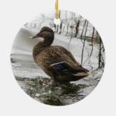 Graue Ente im Dunkeln des Sees Keramik Ornament (Hinten)