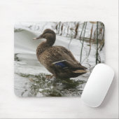 Graue Ente im Dunkeln des Sees Mousepad (Mit Mouse)