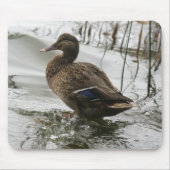 Graue Ente im Dunkeln des Sees Mousepad (Vorne)