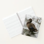 Graue Ente im Dunkeln des Sees Notizblock (Innenseite)