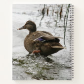 Graue Ente im Dunkeln des Sees Notizblock (Rückseite)