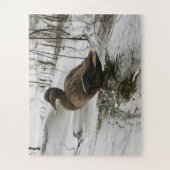 Graue Ente im Dunkeln des Sees Puzzle (Vertikal)