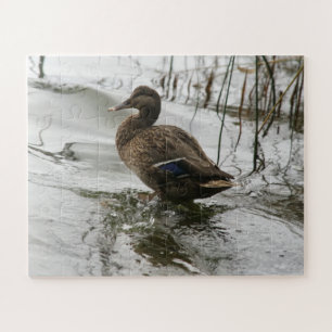 Graue Ente im Dunkeln des Sees Puzzle