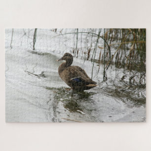 Graue Ente im Dunkeln des Sees Puzzle