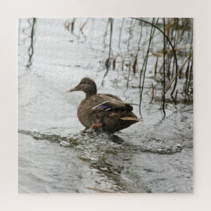 Graue Ente im Dunkeln des Sees Puzzle