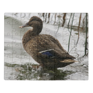 Graue Ente im Dunkeln des Sees Puzzle