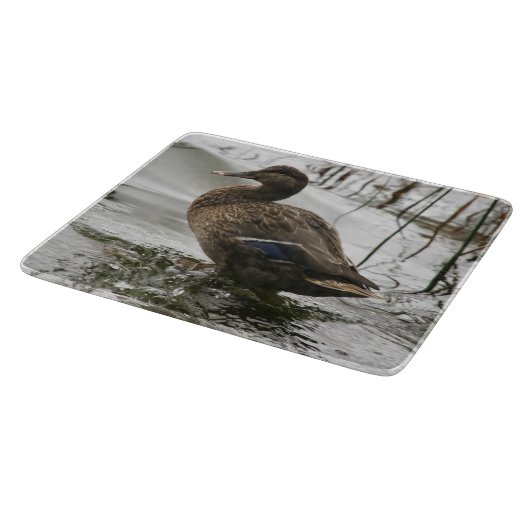 Graue Ente im Dunkeln des Sees Schneidebrett (Ecke)