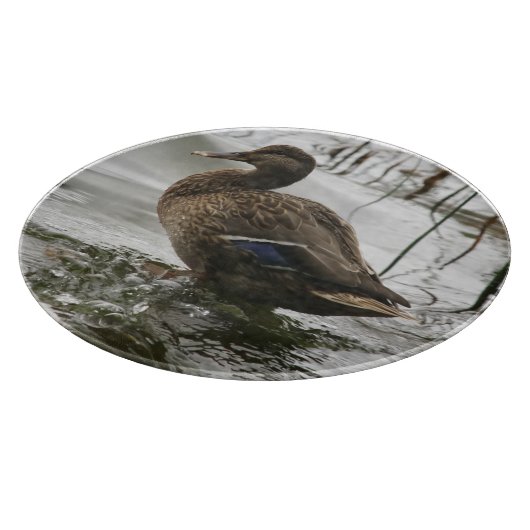 Graue Ente im Dunkeln des Sees Schneidebrett (Ecke)