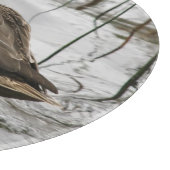 Graue Ente im Dunkeln des Sees Schneidebrett (Ecke)