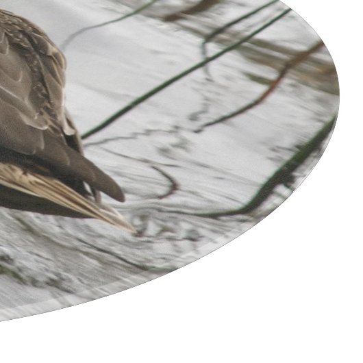 Graue Ente im Dunkeln des Sees Schneidebrett (Ecke)