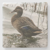 Graue Ente im Dunkeln des Sees Steinuntersetzer (Vorderseite)