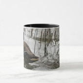 Graue Ente im Dunkeln des Sees Tasse (Zentrum)