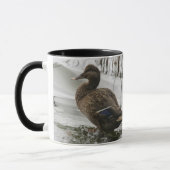 Graue Ente im Dunkeln des Sees Tasse (Links)