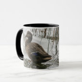 Graue Ente im Dunkeln des Sees Tasse (Vorderseite Links)