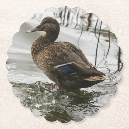 Graue Ente im Dunkeln des Sees Untersetzer (Vorderseite)