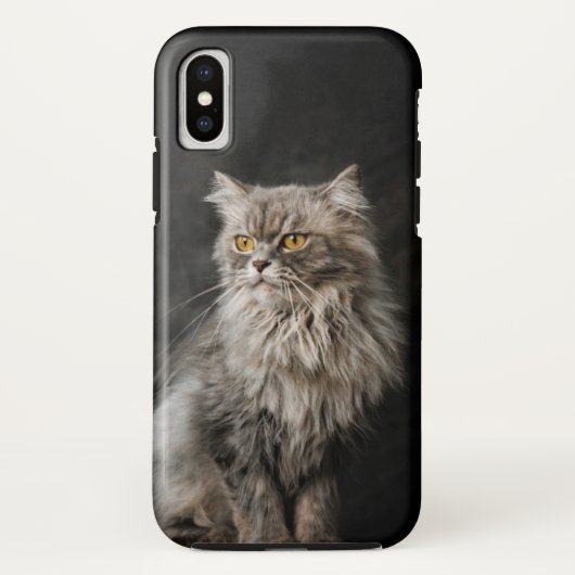 Graue flauschige Katze Case-Mate iPhone Hülle (Rückseite)