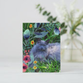 Graue Fluffy Katze im Garten mit Blume Postkarte (Stehend Vorderseite)