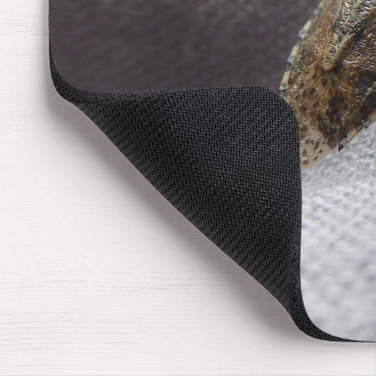 Graue Gartenwanze Buggy stink bug Mousepad (Ecke)