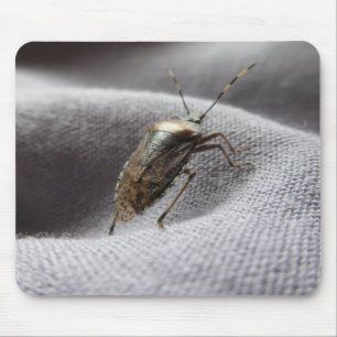 Graue Gartenwanze Buggy stink bug Mousepad