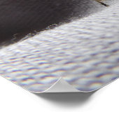 Graue Gartenwanze Buggy stink bug Poster (Ecke)