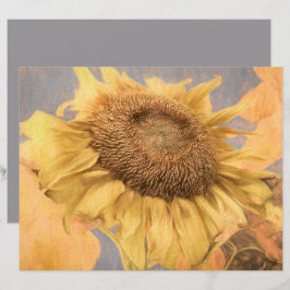 Graue, gelbe Sonnenblume Kunst
