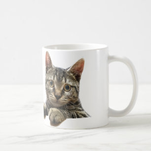 Graue gestreifte Tabby-Katzen-Tasse Kaffeetasse