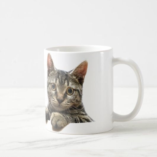 Graue gestreifte Tabby-Katzen-Tasse Kaffeetasse (Rechts)
