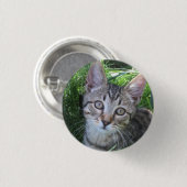 Graue getigerte Katzen-Schaltfläche Button (Vorne & Hinten)