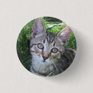Graue getigerte Katzen-Schaltfläche Button