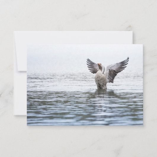 Graue Goose Wildlife Foto Card (Vorderseite)