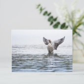 Graue Goose Wildlife Foto Card (Stehend Vorderseite)