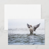 Graue Goose Wildlife Foto Card (Vorne/Hinten)