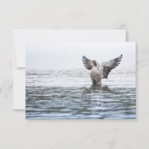 Graue Goose Wildlife Foto Card