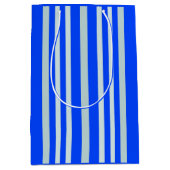 Graue graue Streifen an blauen Streifen Mittlere Geschenktüte (Vorderseite)