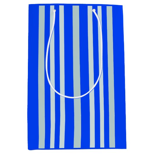 Graue graue Streifen an blauen Streifen Mittlere Geschenktüte (Vorderseite)