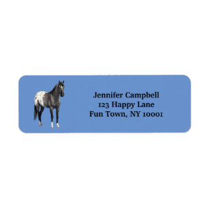 Graue Grulla Appaloosa Vierter Stallion