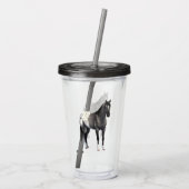 Graue Grulla Appaloosa Vierter Stallion Acryltrinkbecher (Rückseite)