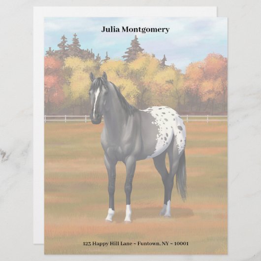 Graue Grulla Appaloosa Vierter Stallion Briefbogen (Vorne/Hinten)