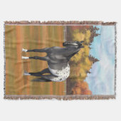 Graue Grulla Appaloosa Vierter Stallion Decke (Vorderseite)