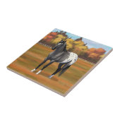 Graue Grulla Appaloosa Vierter Stallion Fliese (Seite)