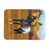 Graue Grulla Appaloosa Vierter Stallion Magnet (Horizontal)