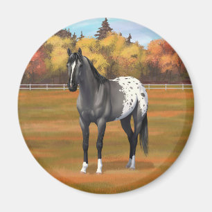 Graue Grulla Appaloosa Vierter Stallion Magnet