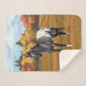 Graue Grulla Appaloosa Vierter Stallion Sherpadecke (Vorderseite (Horizontal))