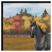 Graue Grulla Appaloosa Vierter Stallion Stoff (Nahaufnahme)