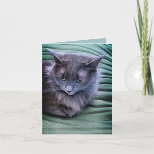 Graue grüne Mit Augen Katze - unbedruckte Grußkart Karte