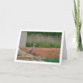 Graue Heron Bird Card Karte (Vorderseite)
