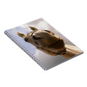 Graue Horse Nase Nah Notizblock (Rechte Seite)